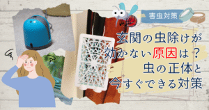 玄関の虫除けが効かない原因は？入ってくる虫の正体と今すぐできる対策