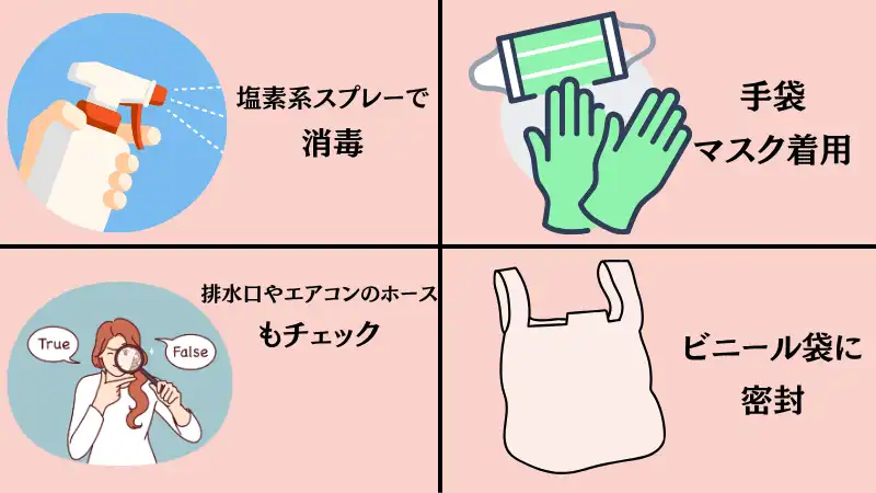 ゴキブリ ベランダで死んでる