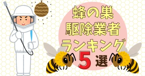 蜂の巣駆除は業者依頼が安全！おすすめ業者ランキング5選と選び方