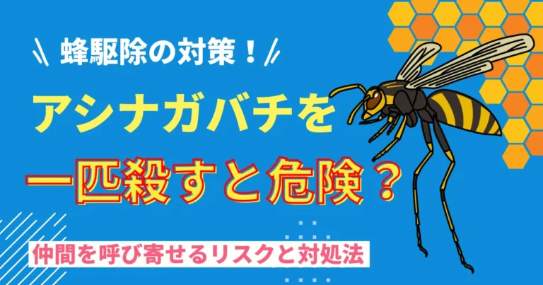 アシナガバチを一匹殺すと危険？仲間を呼び寄せるリスクと対処法