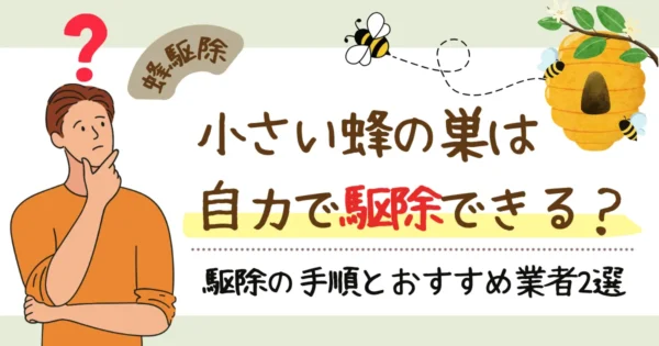 小さい蜂の巣なら自分で駆除できる？自力駆除の手順とおすすめ業者2選