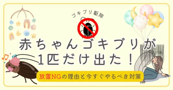 赤ちゃんゴキブリが1匹だけ出た！放置NGの理由と今すぐやるべき対策