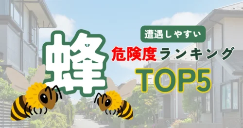 蜂の危険度をランキングで紹介!身近で遭遇しやすい場所と対策方法