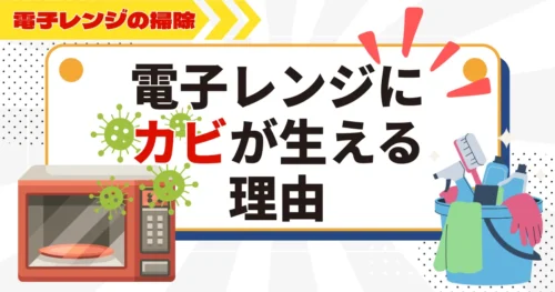 電子レンジにカビが生える理由とは？電子レンジの掃除方法と予防のポイント