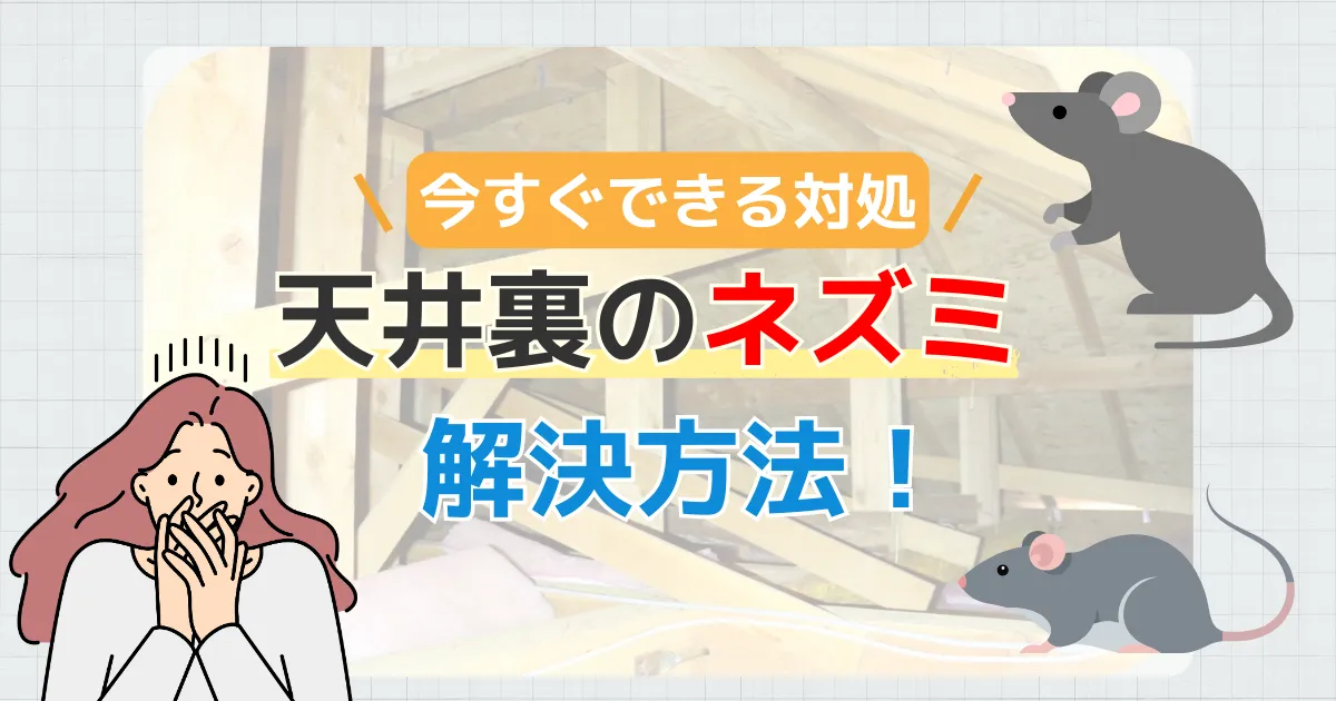 天井裏のネズミはどう対処する?今すぐできる対処法と根本解決のポイント