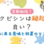 ハクビシンは縁起が良い？家に来る意味と放置リスク