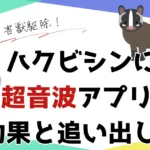 ハクビシンに超音波アプリは効く?効果と正しい追い出し方を紹介 ハクビシンに超音波アプリは効く?効果と正しい追い出し方を紹介