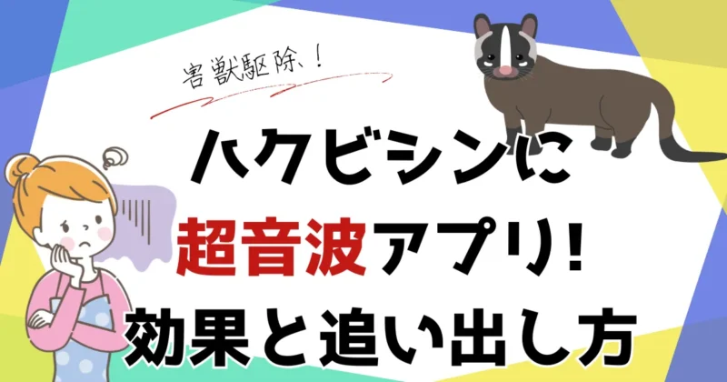 ハクビシンに超音波アプリは効く？効果と正しい追い出し方を紹介