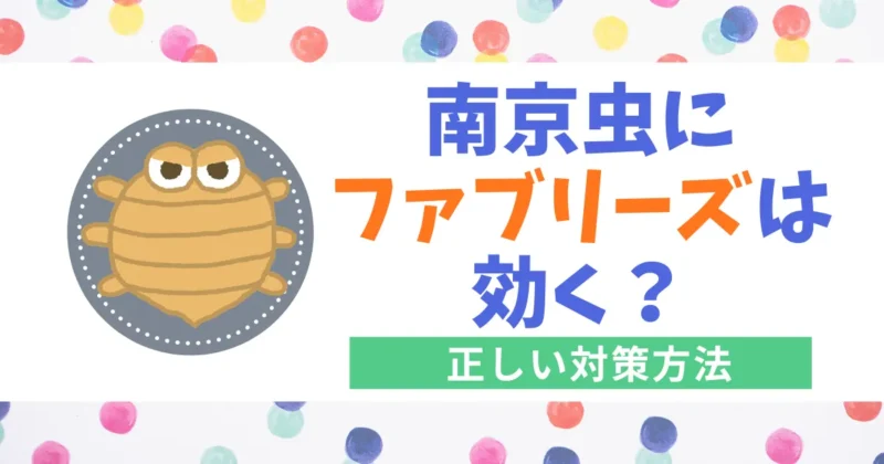 南京虫にファブリーズは効く？効果がない理由と正しい対策を紹介