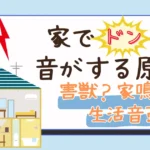 家でドンと音がする原因は？害獣・家鳴り・生活音の見分け方を紹介
