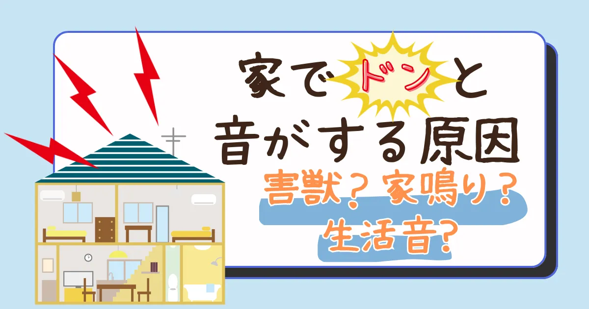 家でドンと音がする原因は?害獣・家鳴り・生活音の見分け方を紹介